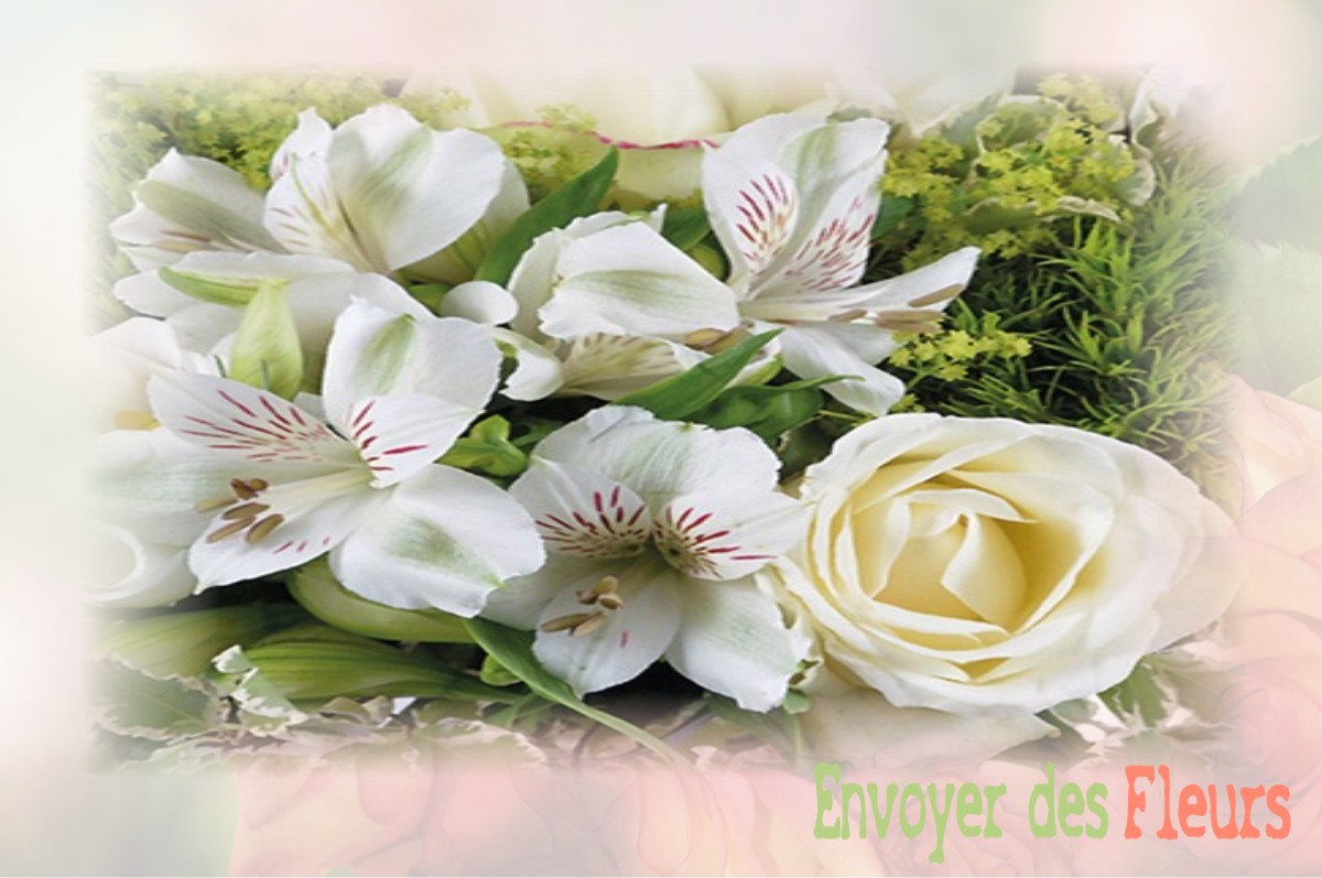 envoyer des fleurs à à SAINT-ANDRE-LACHAMP